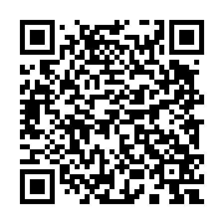 QR code for 95L 463