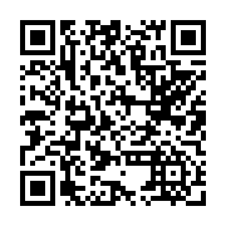 QR code for 95L 657