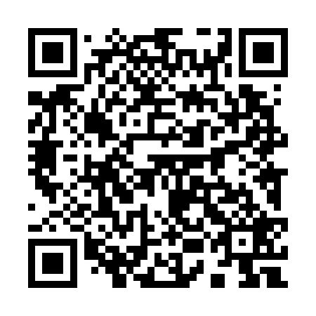 QR code for 95L 729