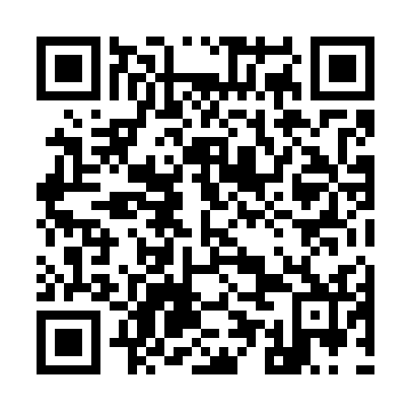 QR code for 95L 732