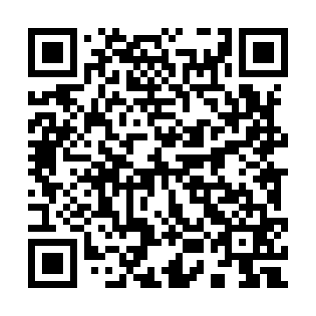 QR code for 95L 961