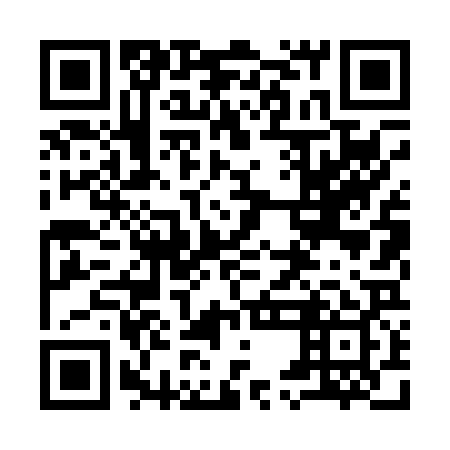 QR code for 95L029