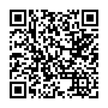 QR code for plate 95L 677