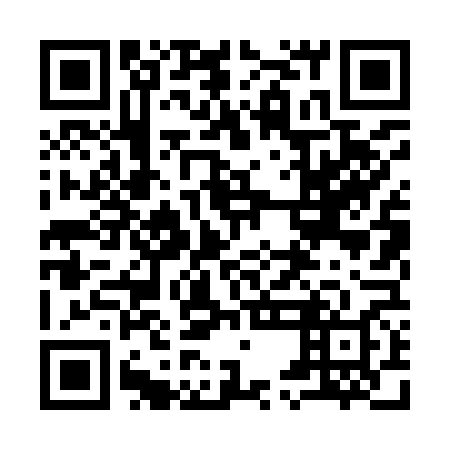 QR code for 95L968