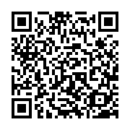 QR code for 95L969