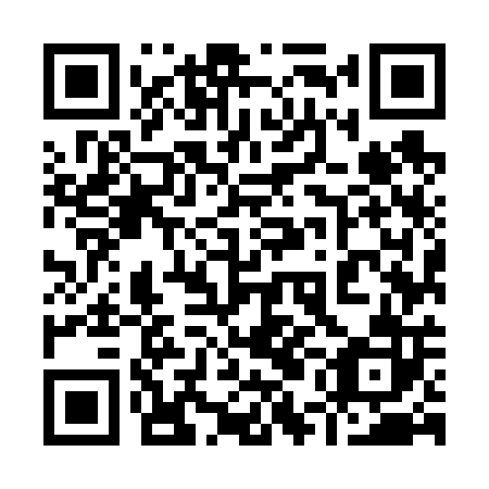 QR code for plate 95M 602