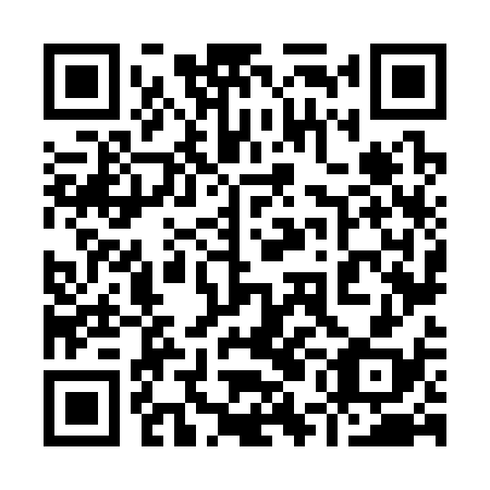 QR code for 95N 338