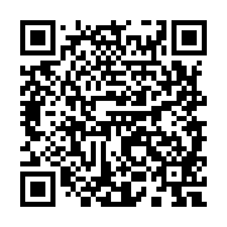QR code for 95N 989