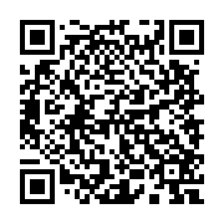 QR code for plate 95N 506