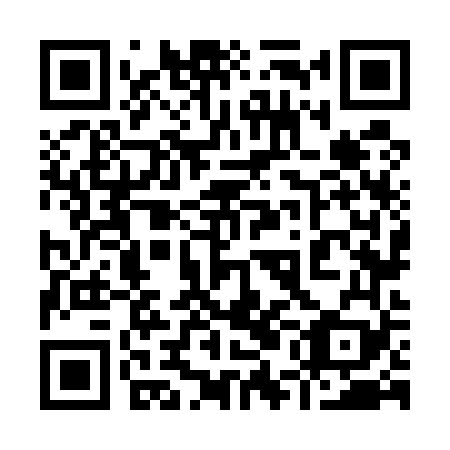 QR code for 95N569