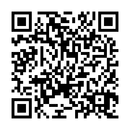 QR code for 95N924