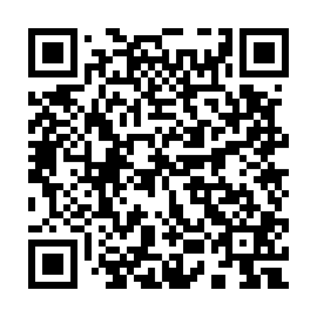 QR code for 95O 501