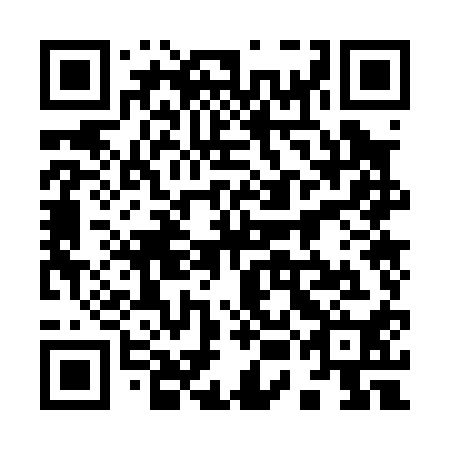 QR code for 95O010