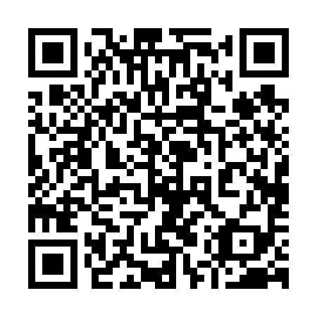 QR code for 95P 699