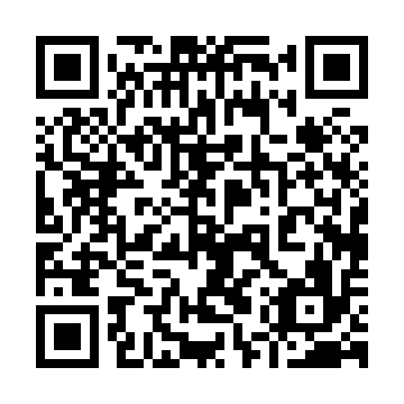 QR code for 95P 816