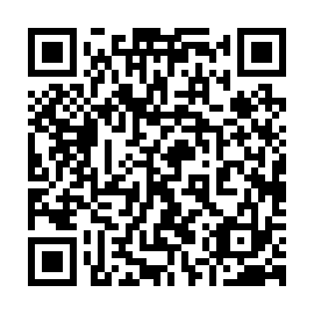 QR code for plate 95P 233