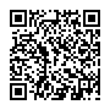 QR code for 95P382