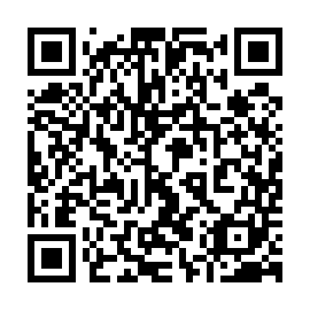 QR code for 95Q541