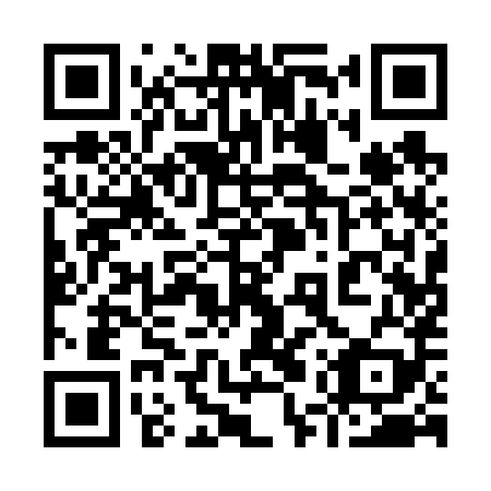 QR code for plate 95Q 689