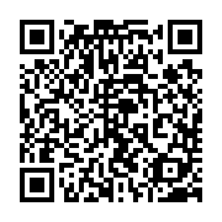 QR code for plate 95R 749