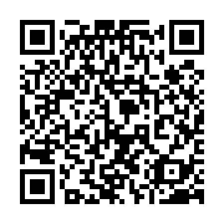 QR code for 95S 539