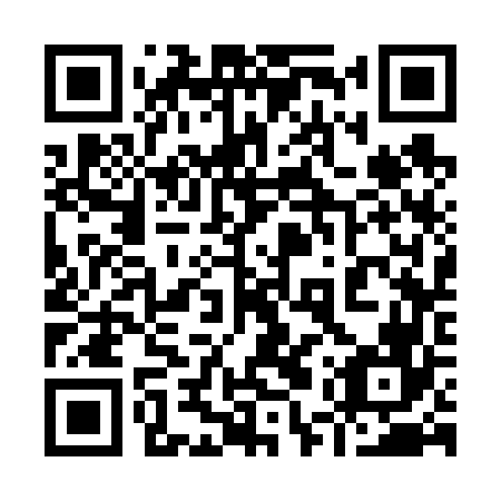QR code for 95S 666