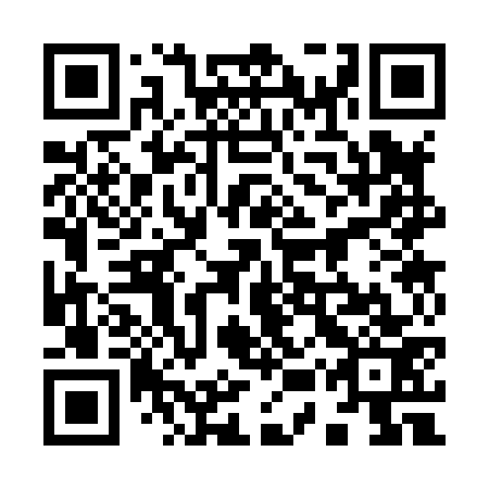 QR code for plate 95S 873