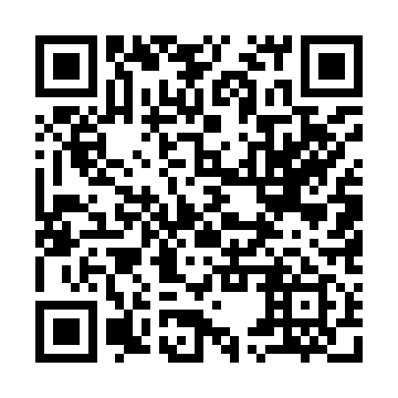 QR code for 95U 919
