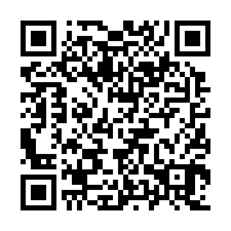 QR code for 95V300