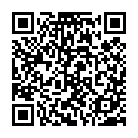 QR code for plate 95V 441