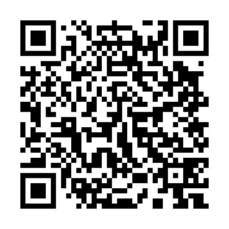 QR code for 95W 078