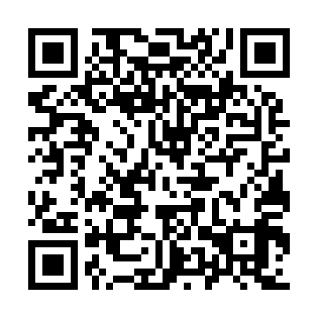 QR code for 95W 919