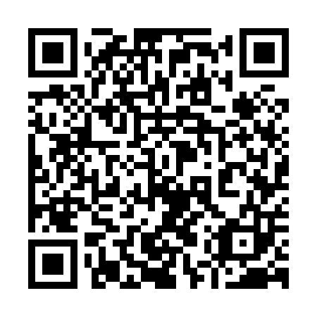 QR code for plate 95W 803