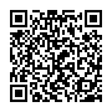 QR code for 95X 219