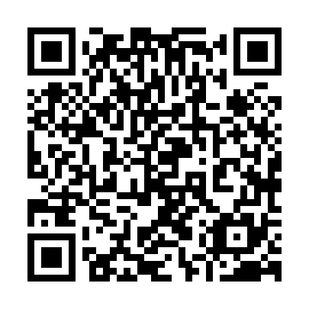 QR code for 95X875