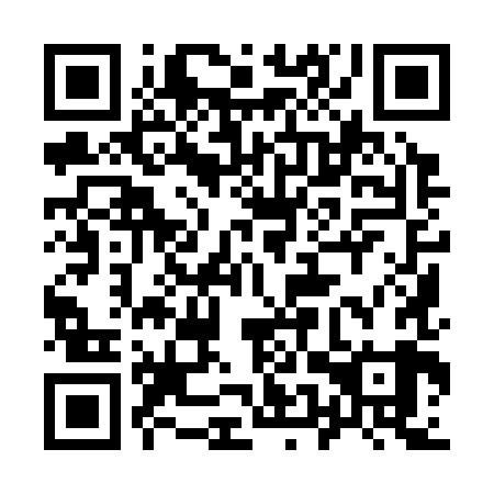 QR code for 95Y389