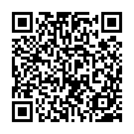 QR code for plate 95Y 540