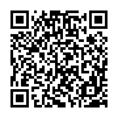QR code for 95Z 196