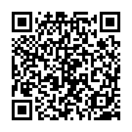 QR code for plate 95Z 351