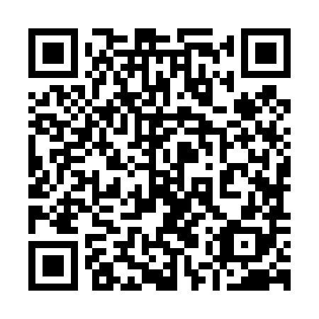 QR code for 95Z488