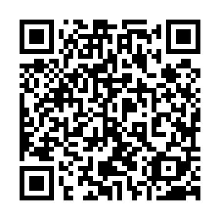 QR code for 95Z509