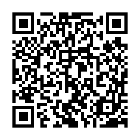 QR code for plate 95Z 653