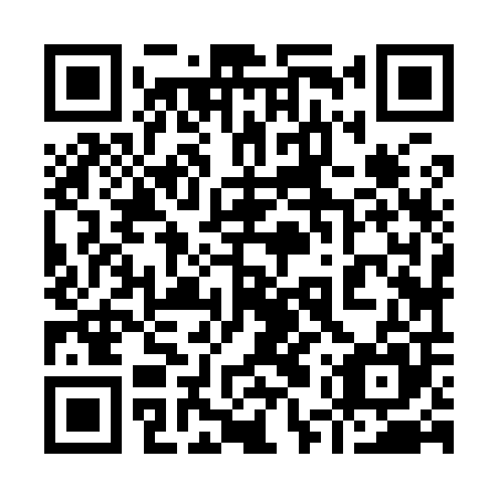 QR code for plate 95Z 905