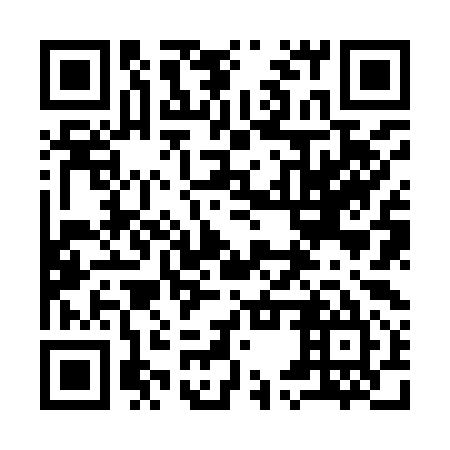 QR code for 95Z995
