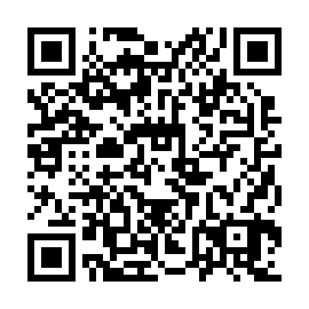 QR code for plate 96B 222