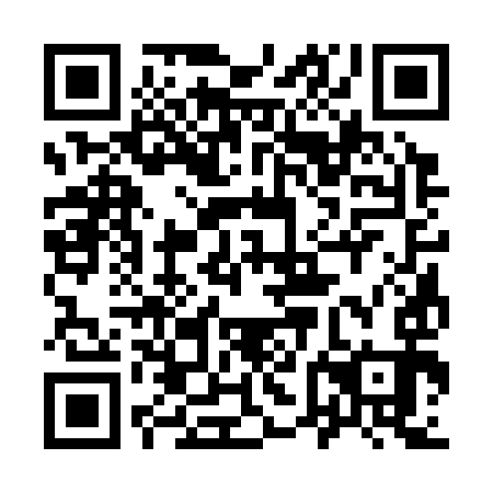 QR code for 96C 393