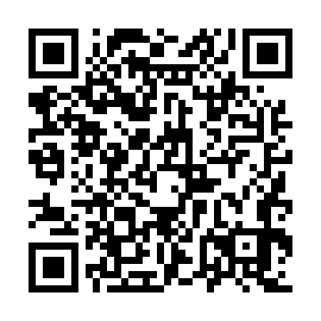 QR code for plate 96D 573