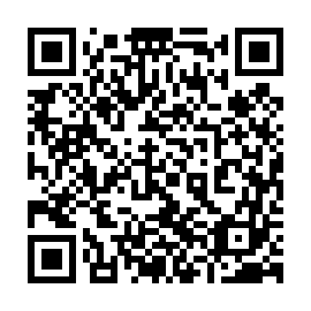 QR code for plate 96E 463
