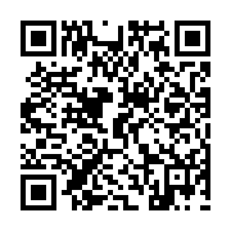 QR code for plate 96E 732