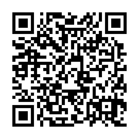 QR code for 96F335